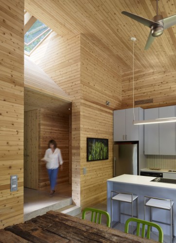 Contemporary_Cabin_DT_04