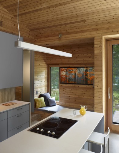 Contemporary_Cabin_DT_06