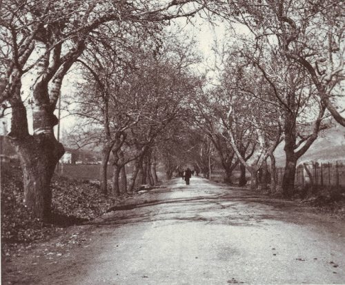 Οδός Λαρίσης (1930)